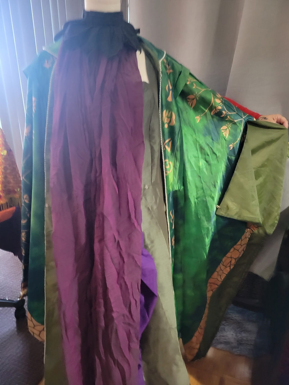 Hocus Pocus Costume - Picture 4 of 4